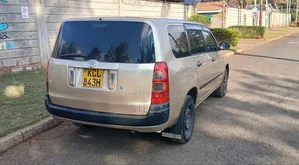 Toyota Succeed 2010 Brown