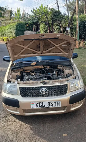 Toyota Succeed 2010 Brown
