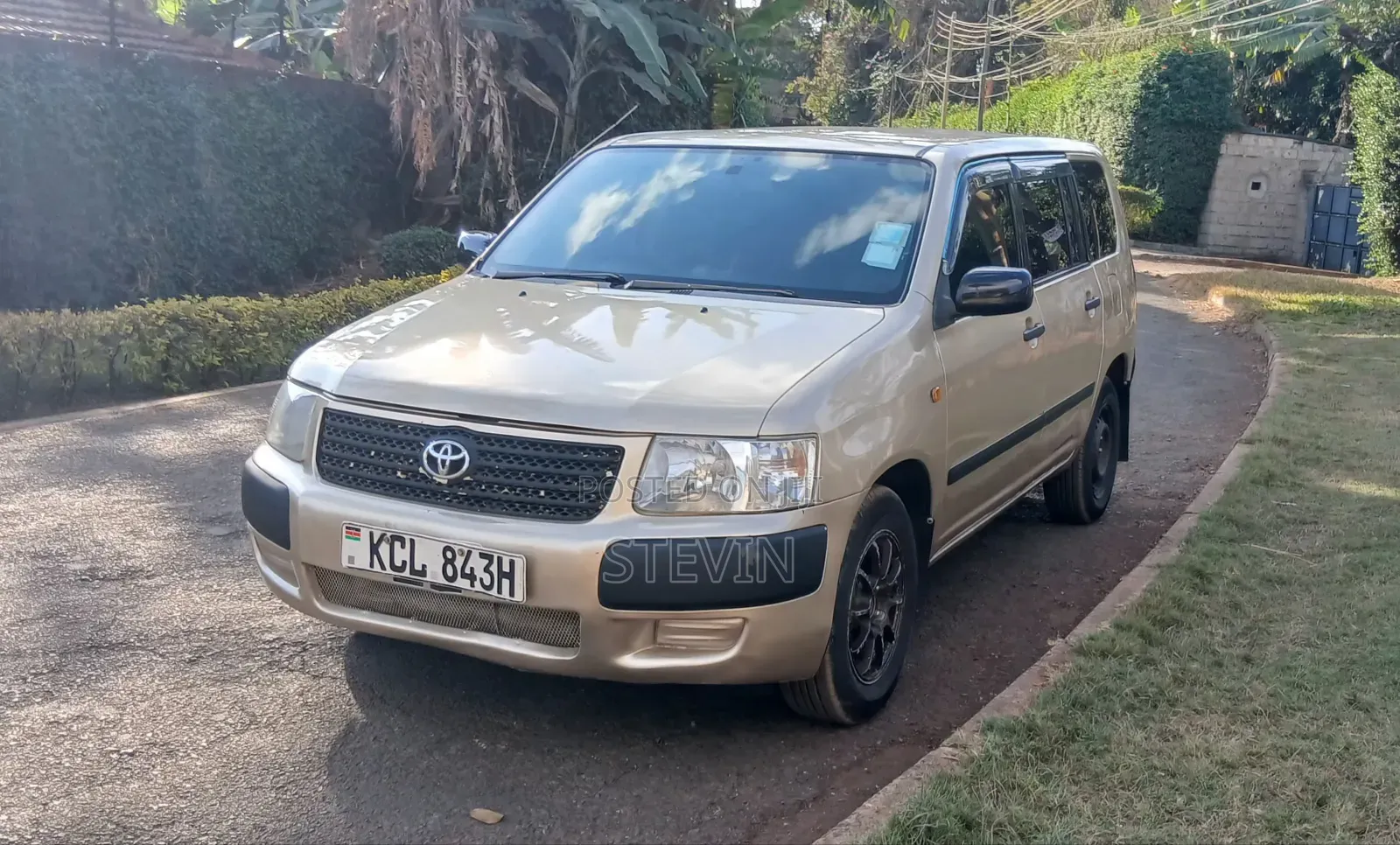 Toyota Succeed 2010 Brown