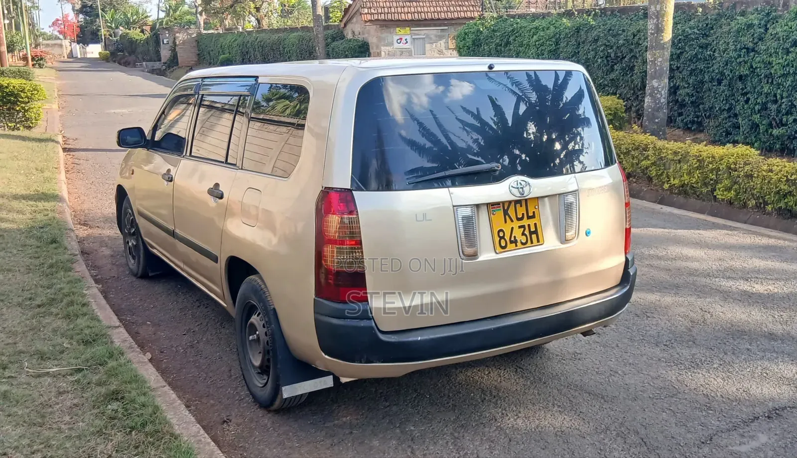 Toyota Succeed 2010 Brown