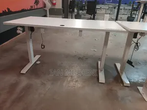 Adjustable Standing Desk