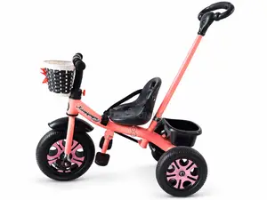 Children’s Push Tricycle