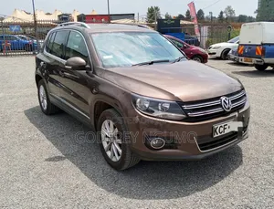 Volkswagen Tiguan 2014 Brown