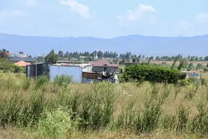 Empakasi Plots
