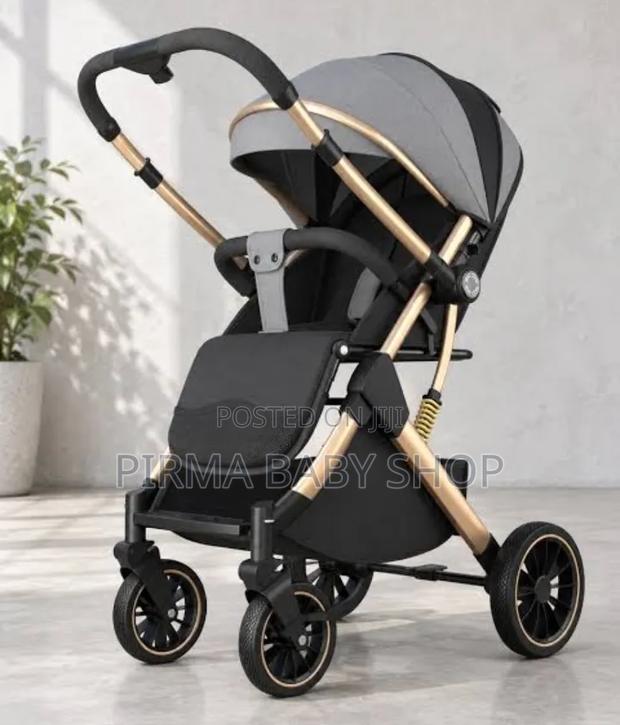 2in1 Burby Stroller - main view