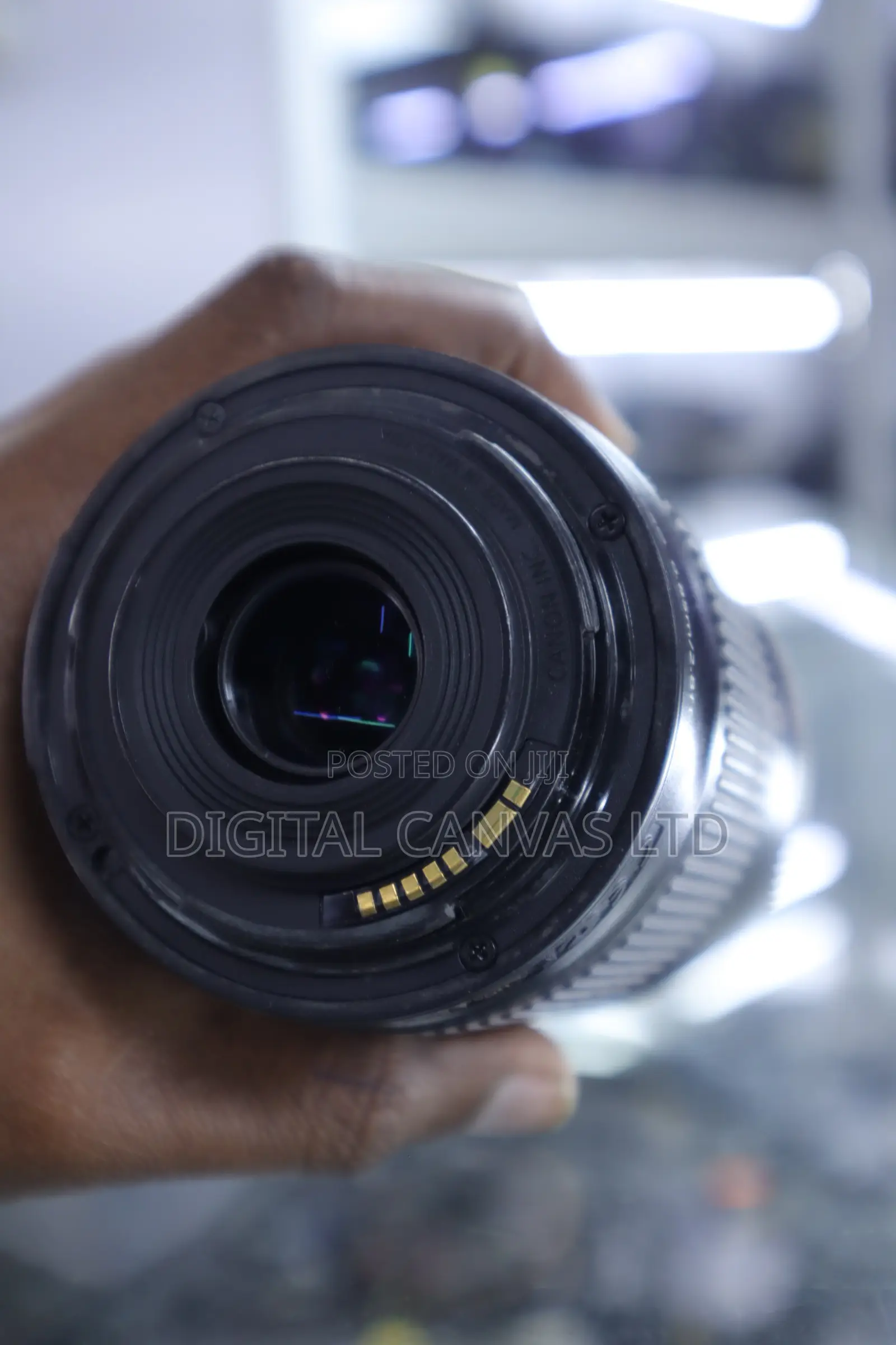 Canon 55-250mm STM Lens