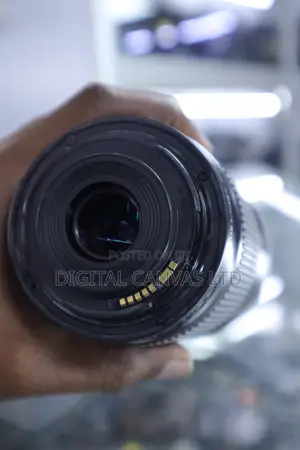 Canon 55-250mm STM Lens
