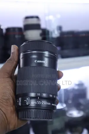 Canon 55-250mm STM Lens