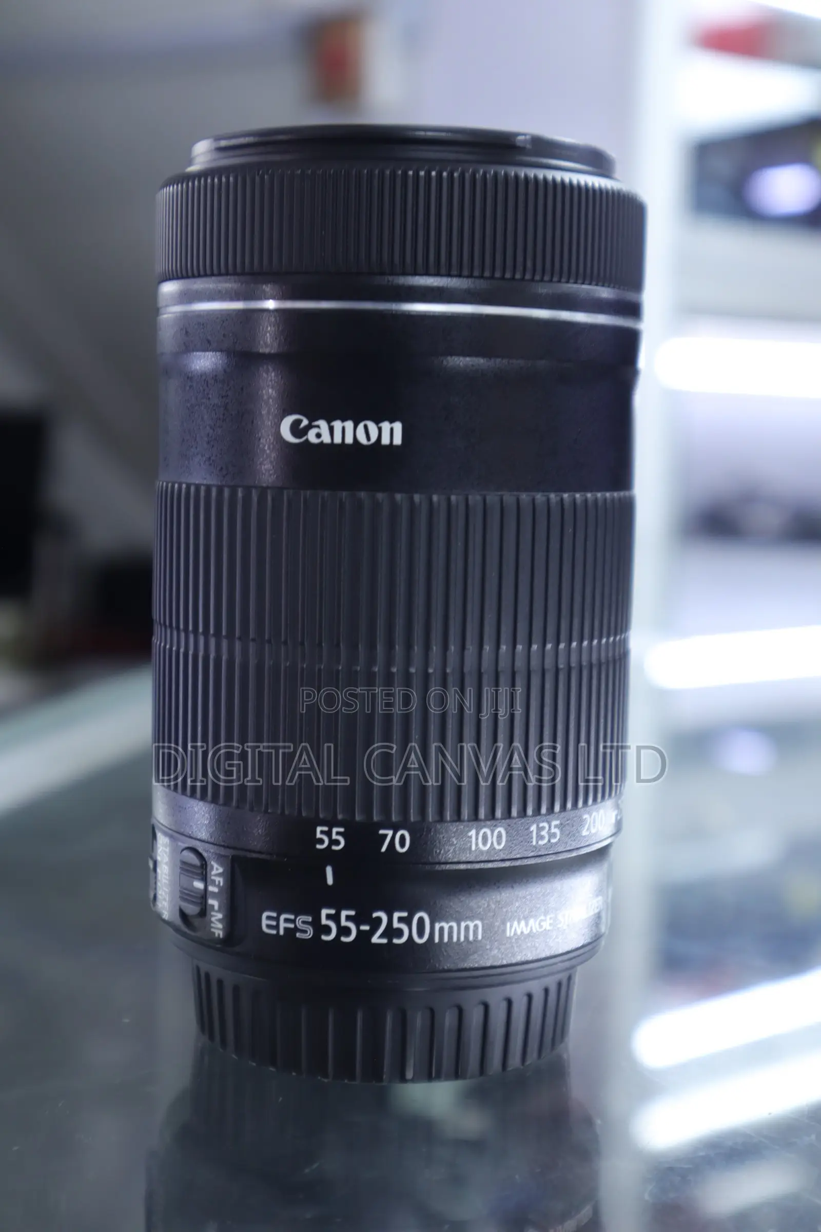 Canon 55-250mm STM Lens