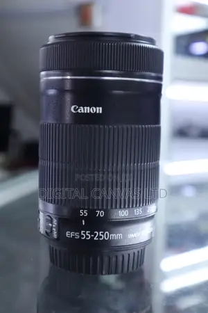 Canon 55-250mm STM Lens