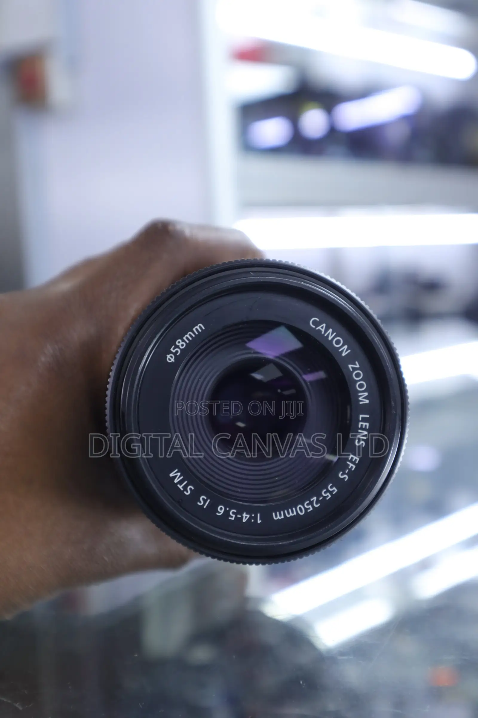 Canon 55-250mm STM Lens