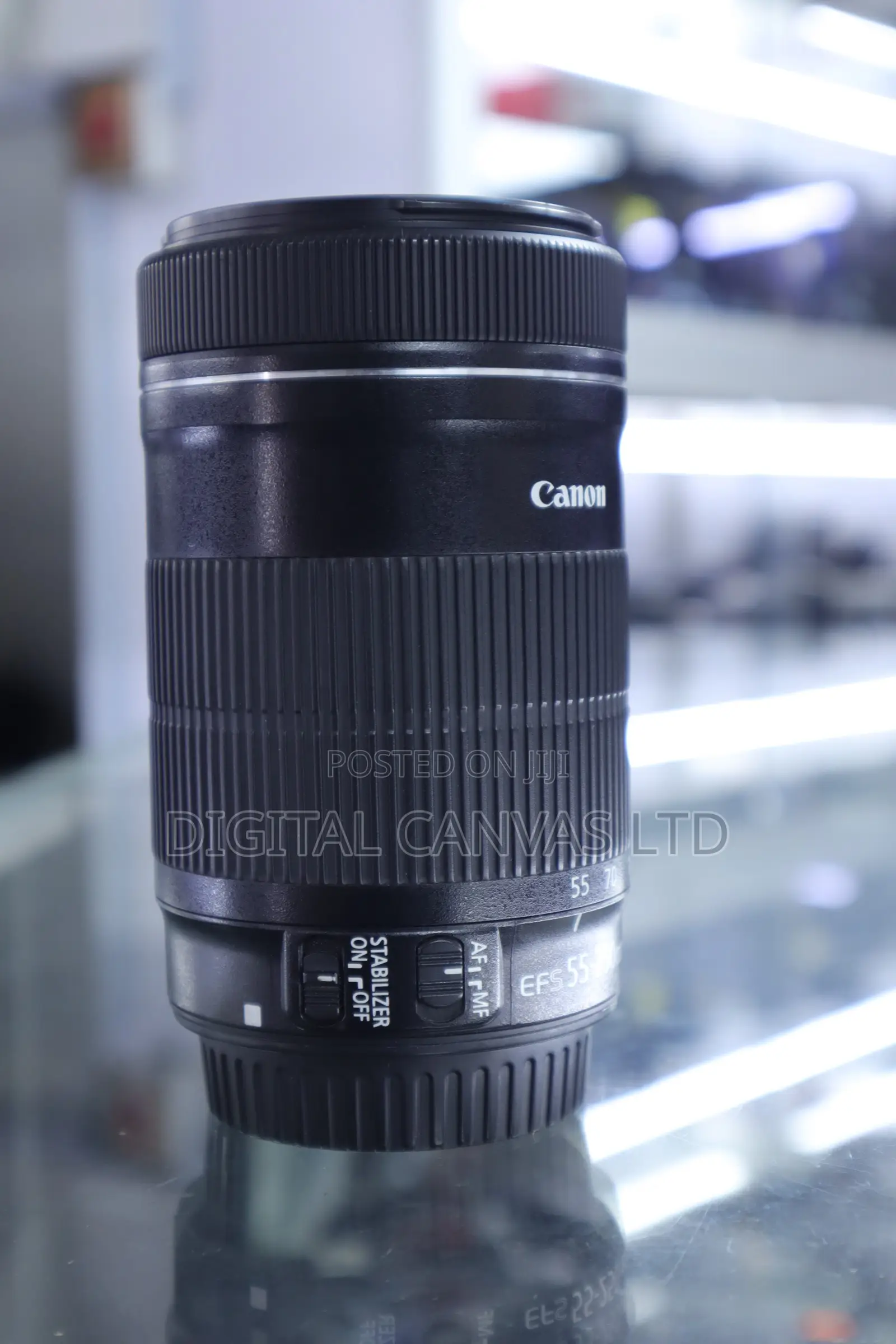 Canon 55-250mm STM Lens