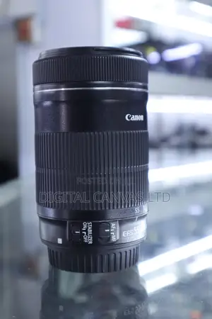 Canon 55-250mm STM Lens