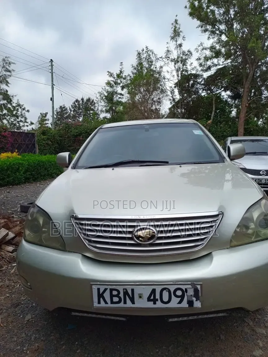 Toyota Harrier 2004 Gray