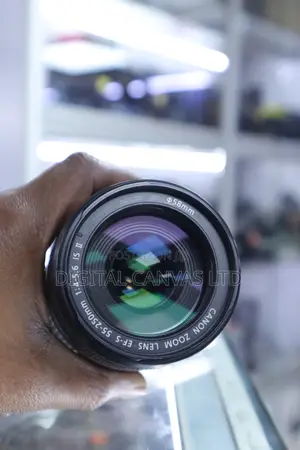 Canon 55-250Mm Ii Lens