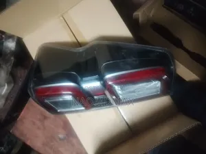 Tail Light Kipchoge 2024