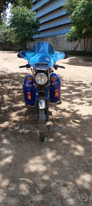 Skygo 2015 Blue