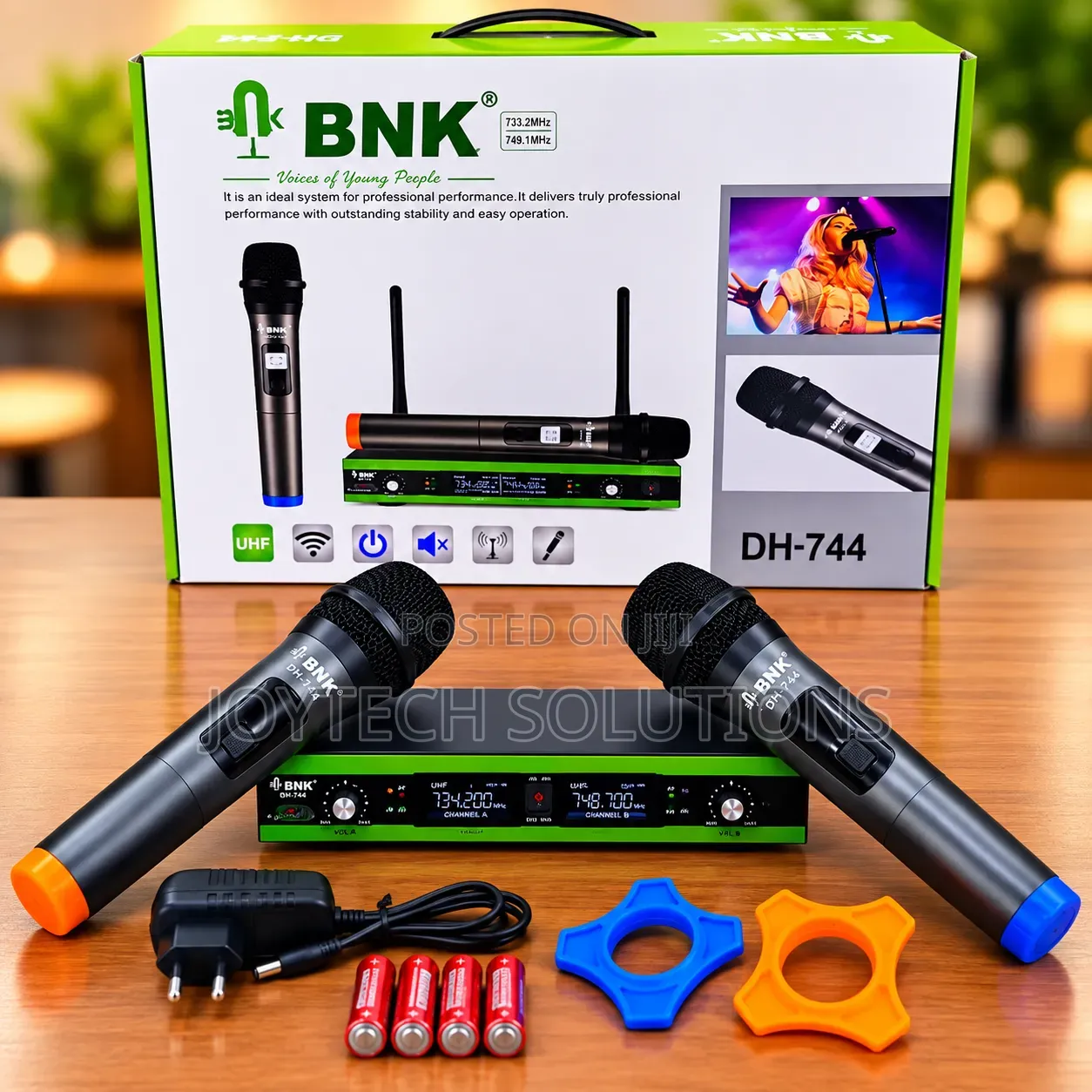 Professional UHF Wireless Microphone – Dual Handheld Mics