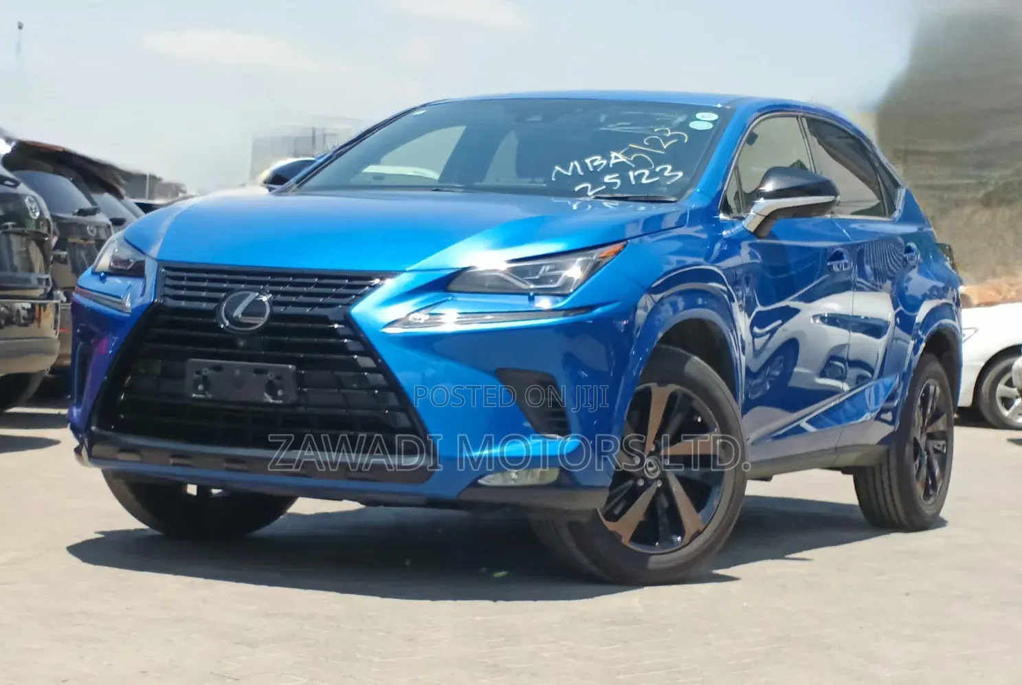 Lexus NX 300 AWD 2020 Blue