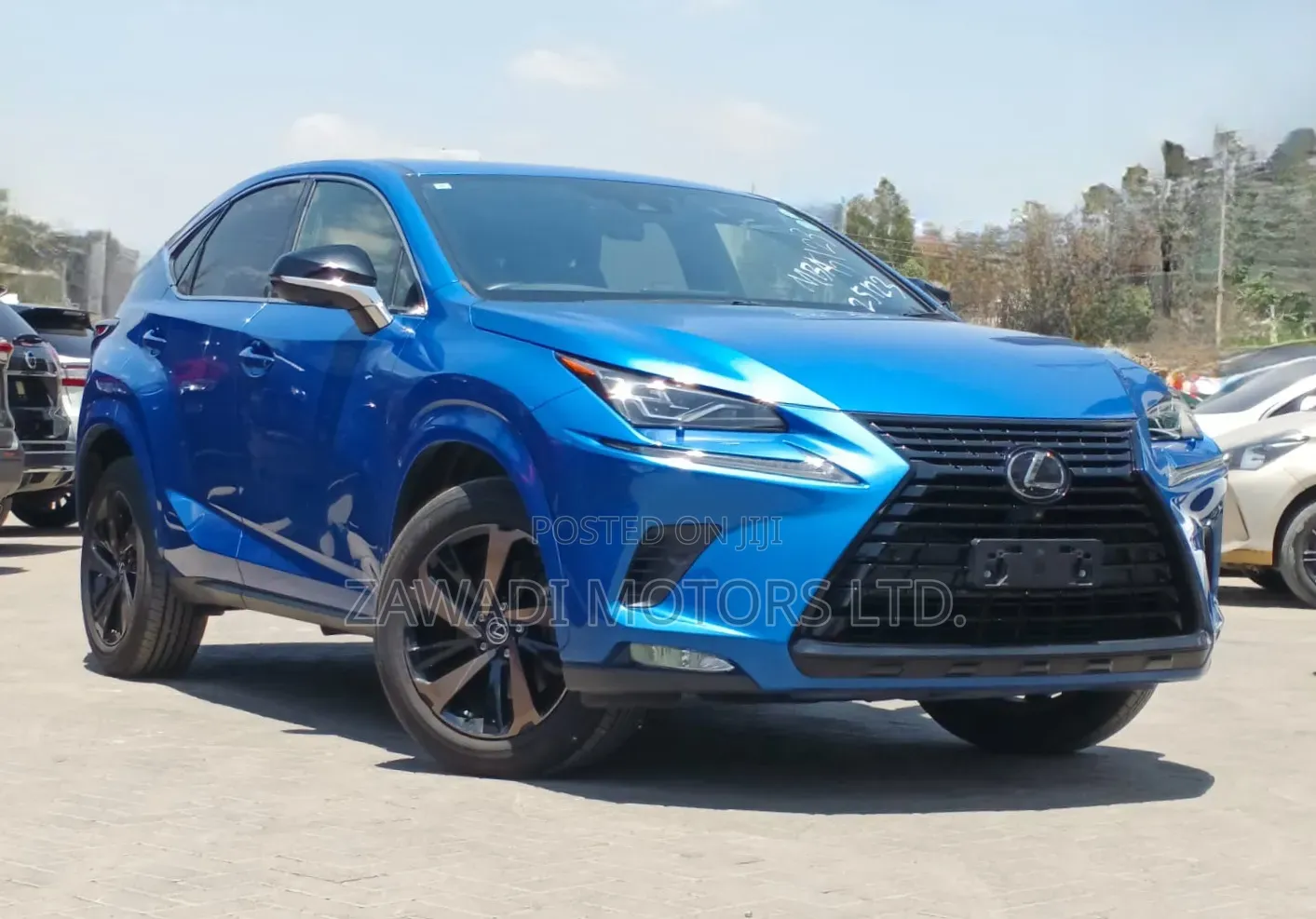 Lexus NX 300 AWD 2020 Blue