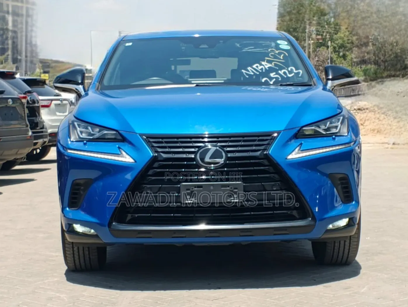 Lexus NX 300 AWD 2020 Blue