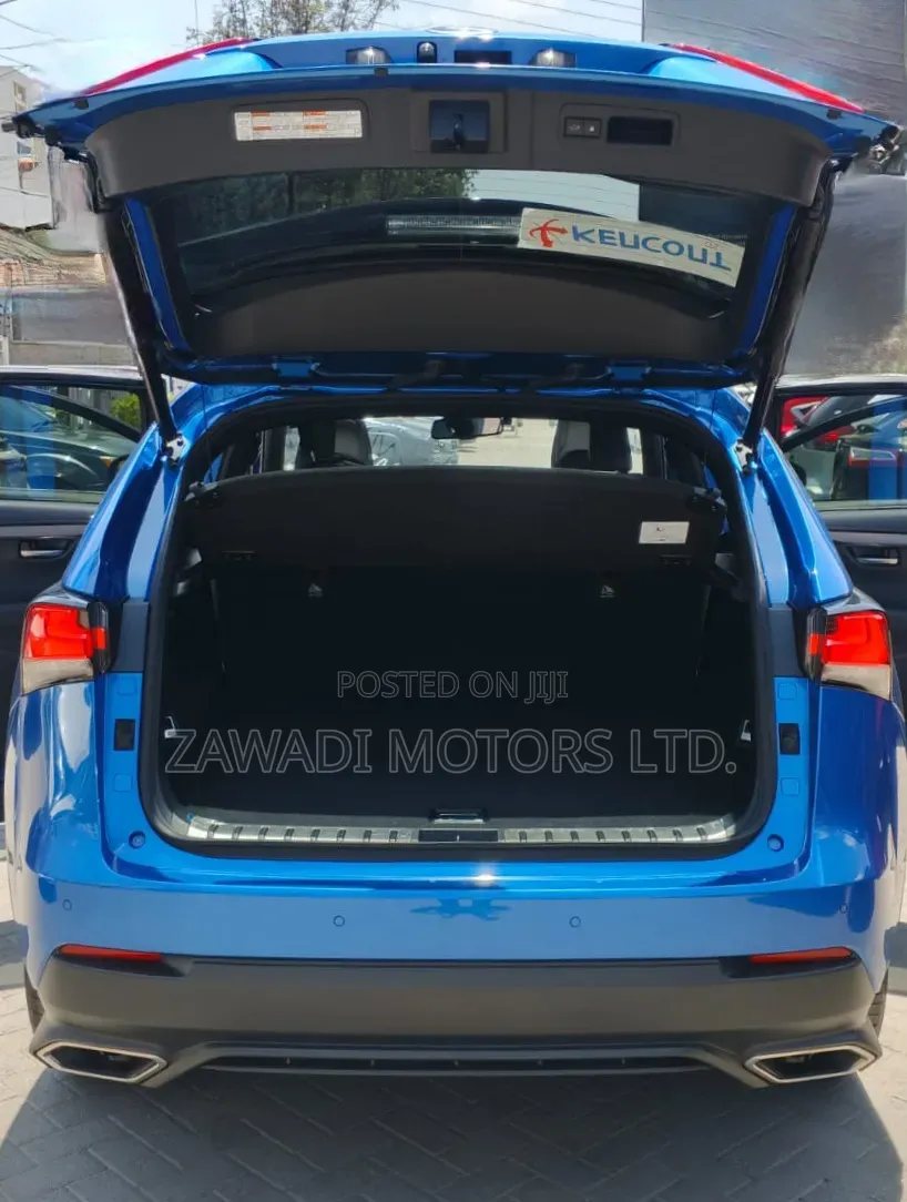 Lexus NX 300 AWD 2020 Blue