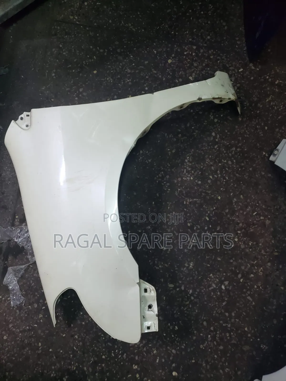 Raum Wing/ Fender