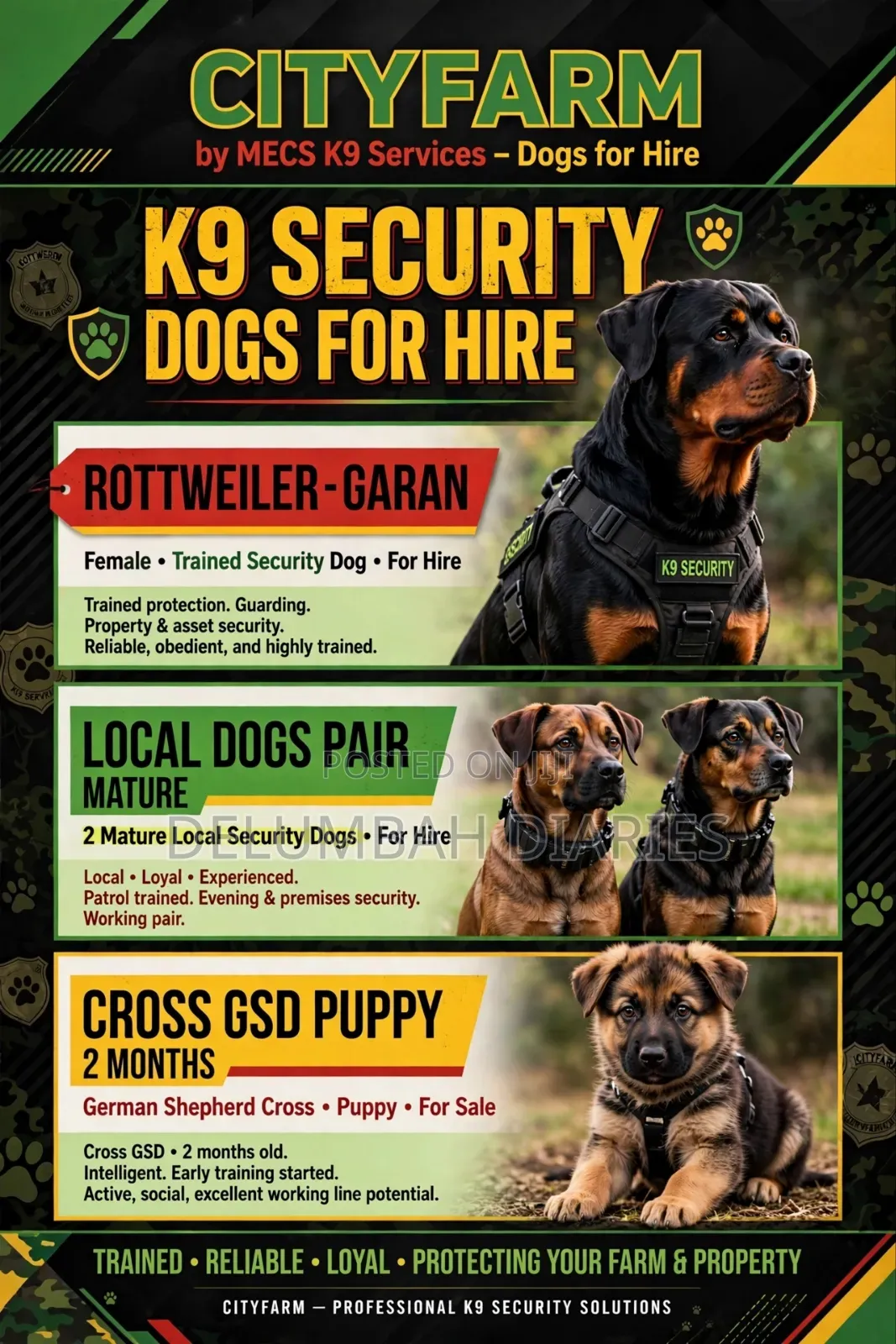 Trained Security Dogs Available for Hire Wthin Nairobi
