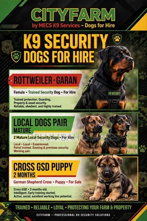 Trained Security Dogs Available for Hire Wthin Nairobi