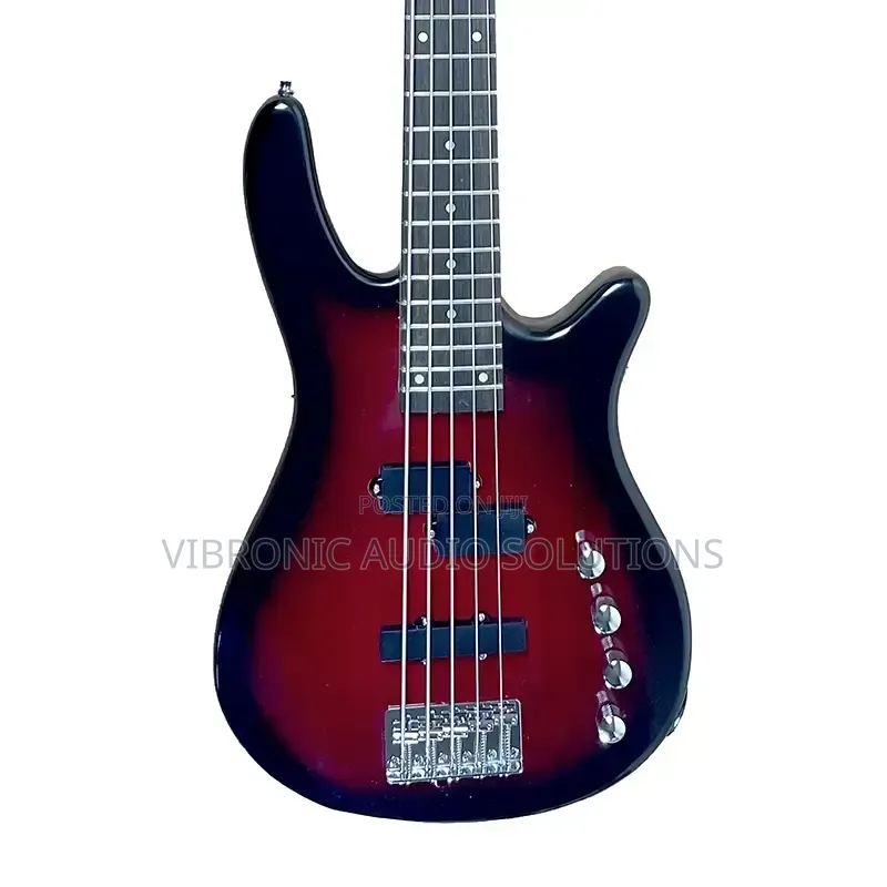 Ibanez 5-String Bass Guitar