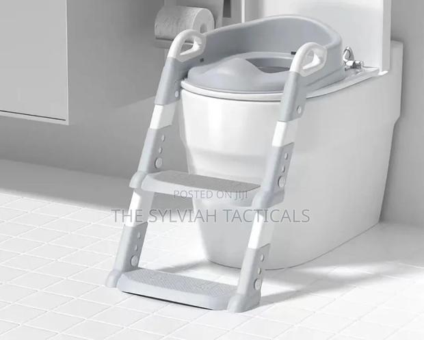 Toilet Ladder Restocked - main view