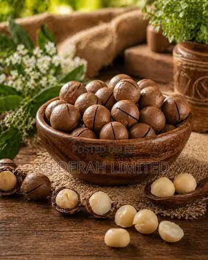 Farm Fresh Macadamia Nuts