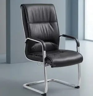Executive Padded Leather Visitor Chair