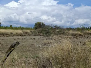 Prime Land