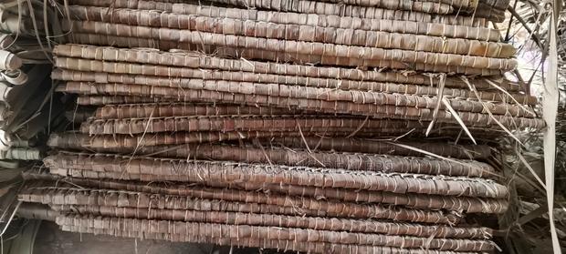 Makuti Extra- Large for Sale - thumbnail 2