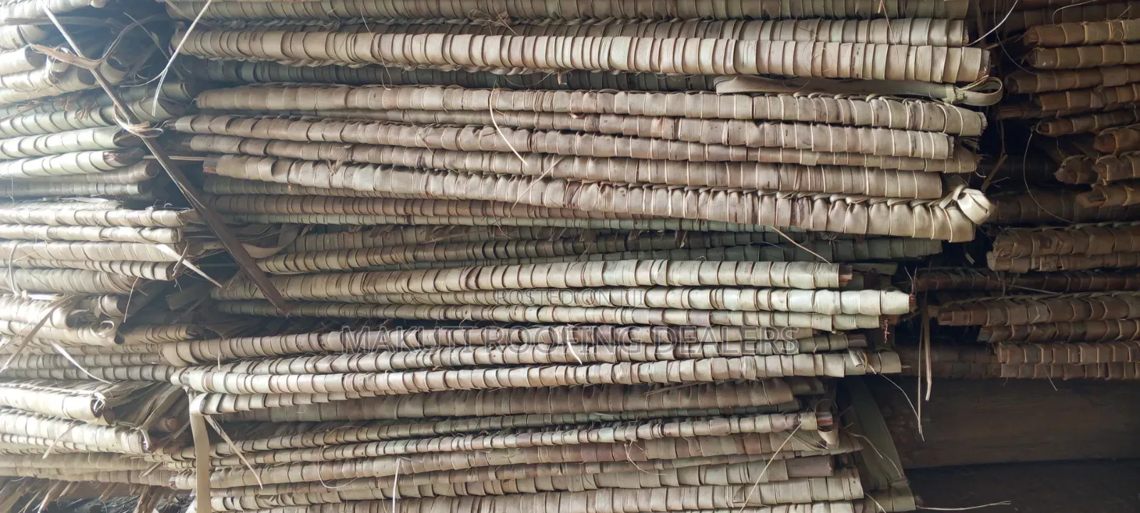 Makuti Extra- Large for Sale