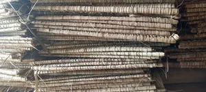 Makuti Extra- Large for Sale