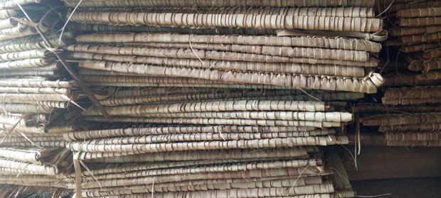 Makuti Extra- Large for Sale - thumbnail 3