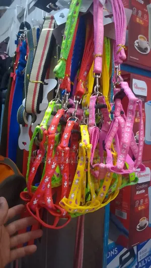 Dog Leash Brand New