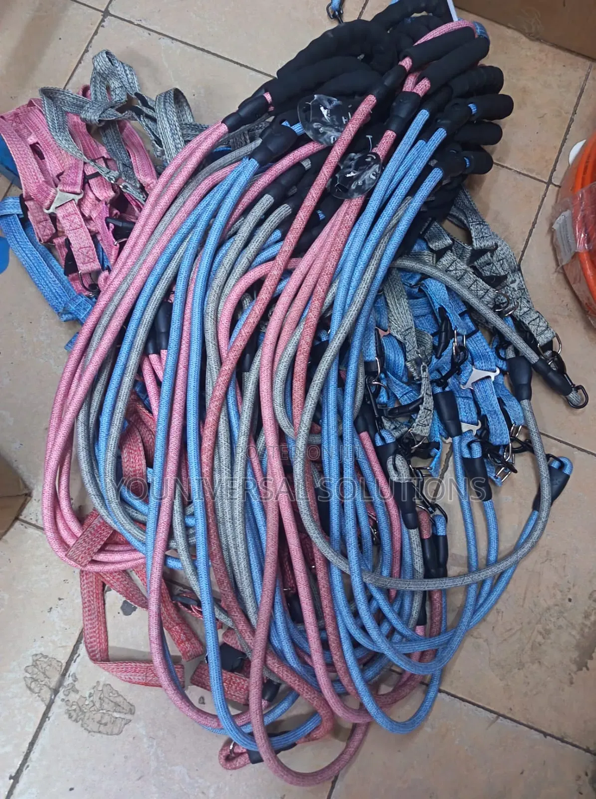 Dog Leash Now Available