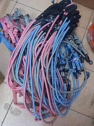 Dog Leash Now Available
