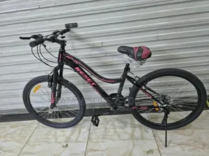 Reset Mountain Bicycle Size 24