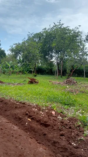 Murang'a Kambirwa Plots for Sale