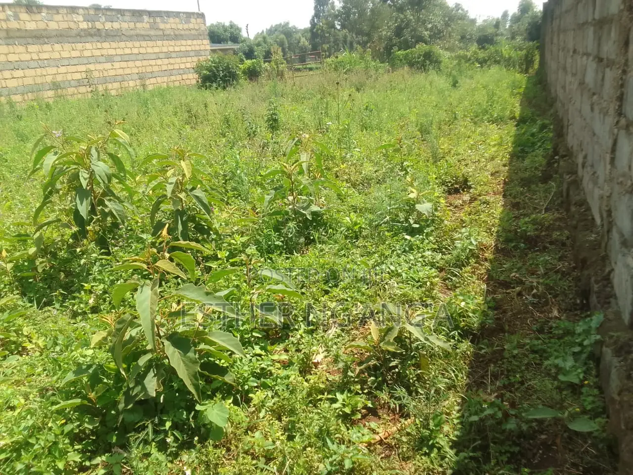 Plot for Sale
