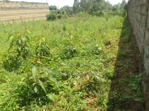 Plot for Sale