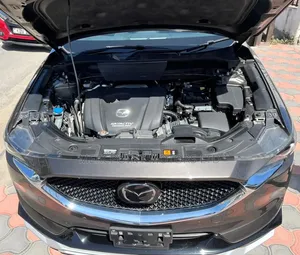 Mazda CX-5 2020 Brown