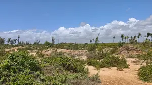 2 Acres for Sell in Tezo Kilifi. Fourth Row From Beach