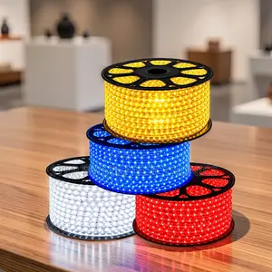 Indoor Lighting 50Meter Outdoor Snake Light With Connector