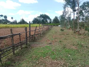 5 Acres Kasuku Nyandarua County