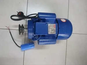 3hp Astramilano Single Phase Electric Motor With Pulley